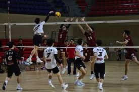 NBA新秀表现追踪 新人赛季成长路线分析